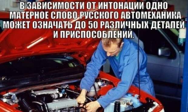 Автоприколы для всех (21 шт)