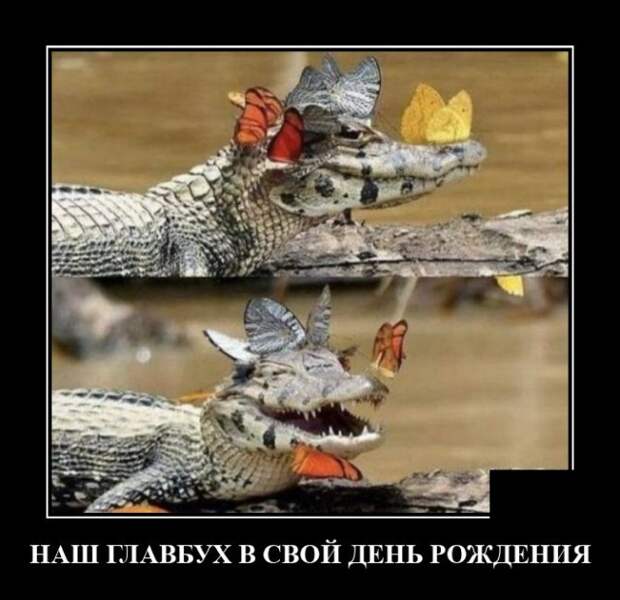 Демотиваторы 13 августа 2021 года