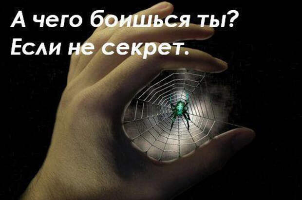 13 самых необычных фобий