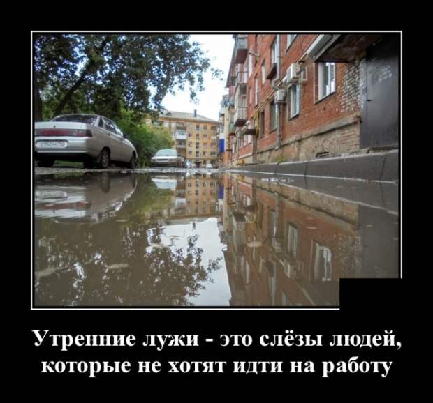 www.vsyako.net
