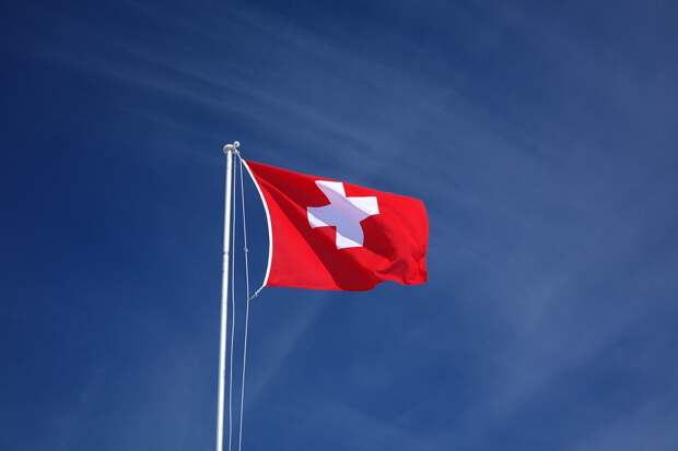 Женева первая в Швейцарии хочет запретить демонстрацию свастики