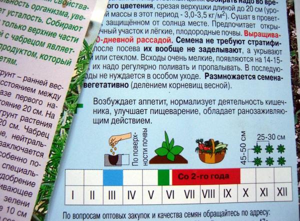 На пакете семян должна быть подробная информация