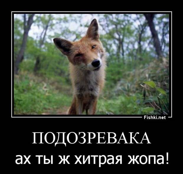 Демотиваторы  демотиваторы, прикол, смех, юмор