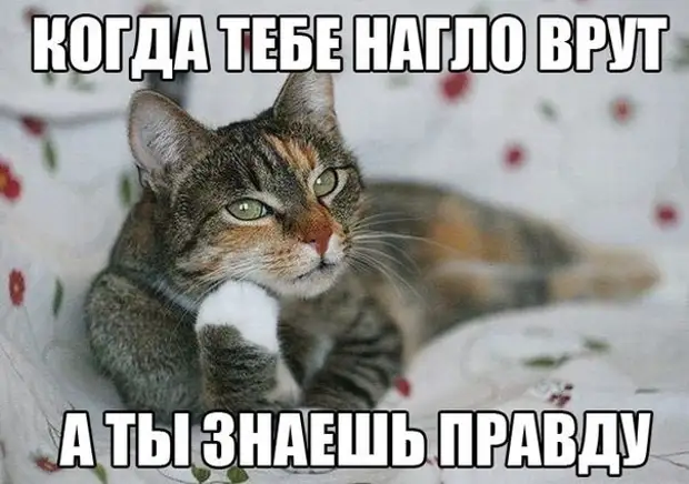 Подборка забавных картинок на понедельник Подборка забавных картинок на понедельник забавные картинки, прикол, юмор