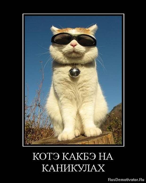Всех с пятницей !!!! Ура Всех с пятницей !!!! Ура