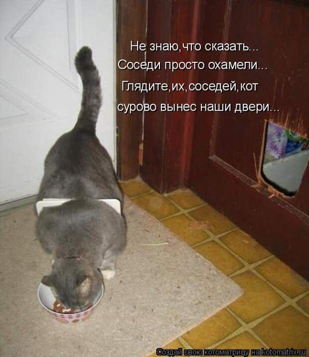 Котоматрица: Не знаю,что сказать... Соседи просто охамели... Глядите,их,соседей,кот сурово вынес наши двери...