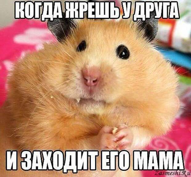 5680197_774Podlovili (492x457, 53Kb)