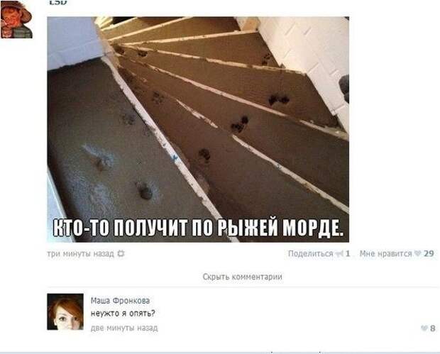 Смешные комментарии из социальных сетей картинки, прикол, соц сети, юмор