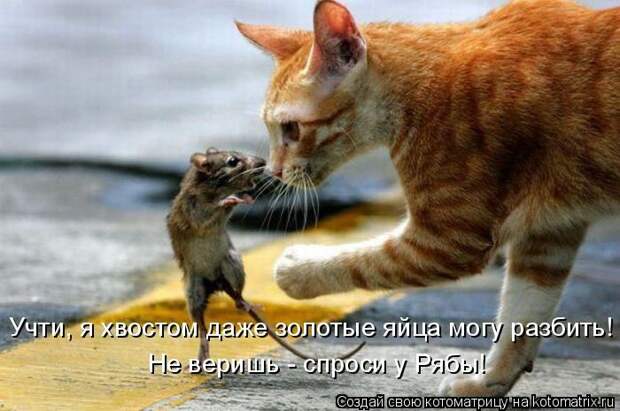 Мысли вслух :)