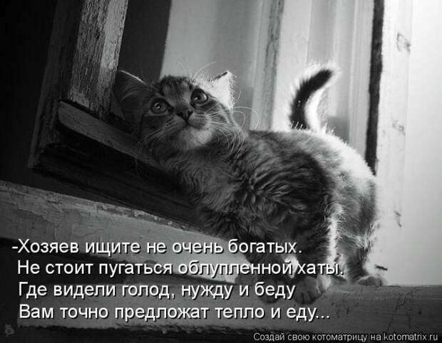 Мысли вслух :)