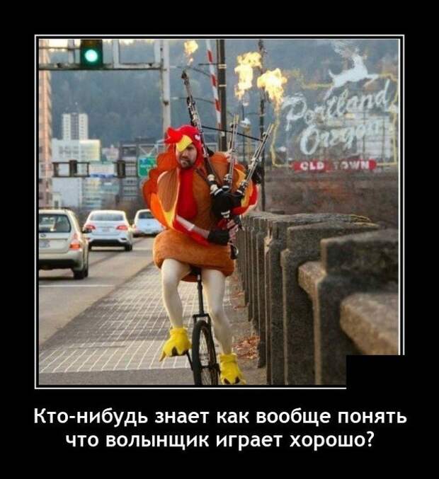 Демотиватор про волынку