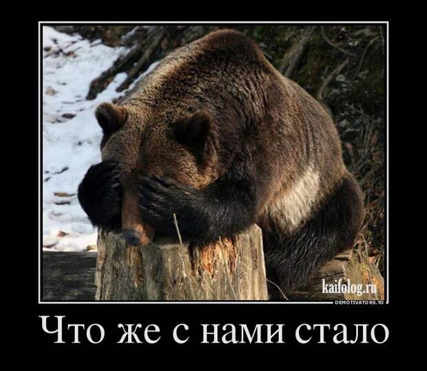 Смешные русские демки - 251 (50 штук)