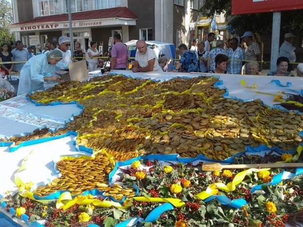 Новый рекорд Украины: карта Украины из драников