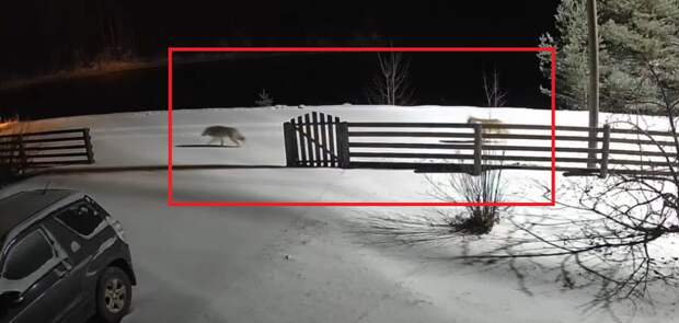 Суровые будни Карелии