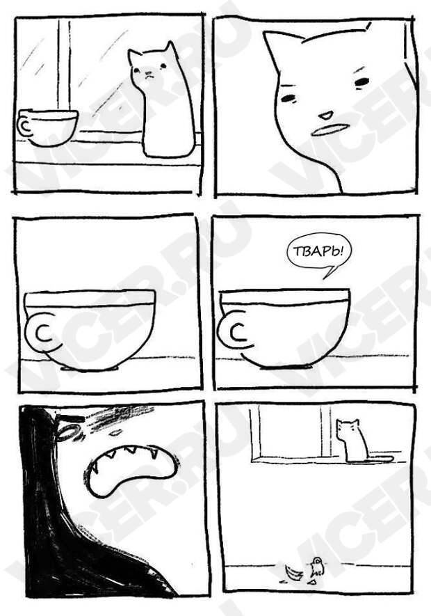 кошачья логика (4)