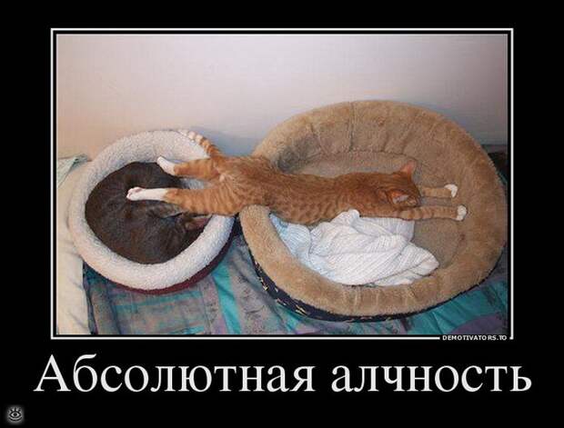 Деградируй правильно! 18