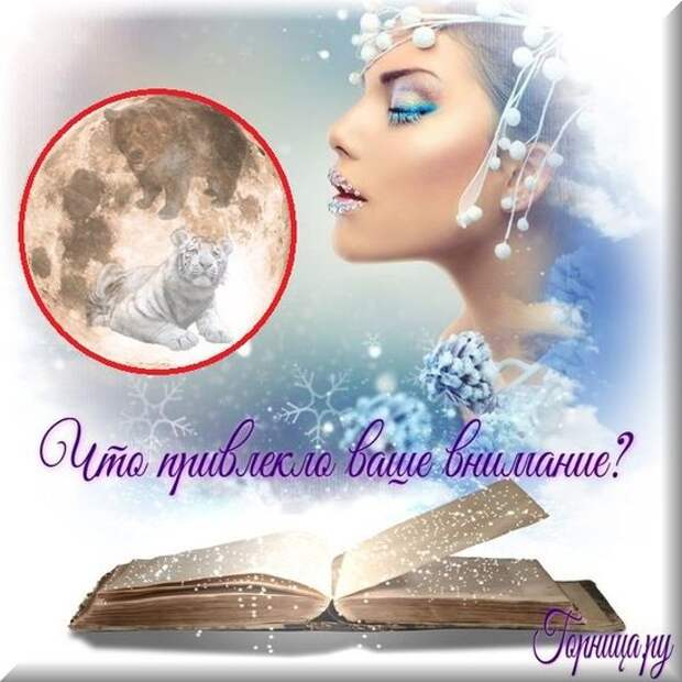 Вам диктуют как жить