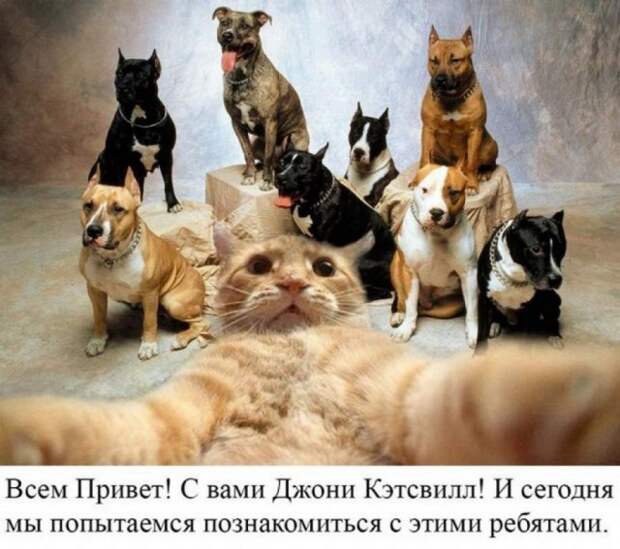 Краткий экскурс по истории интернет-мемов Краткий экскурс по истории интернет-мемов