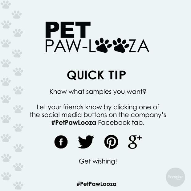 PetPawLooza_QT_WishForIt