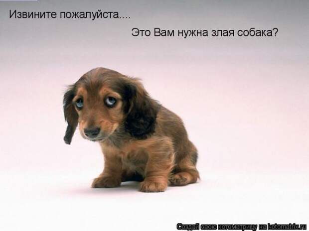 Мысли вслух :)