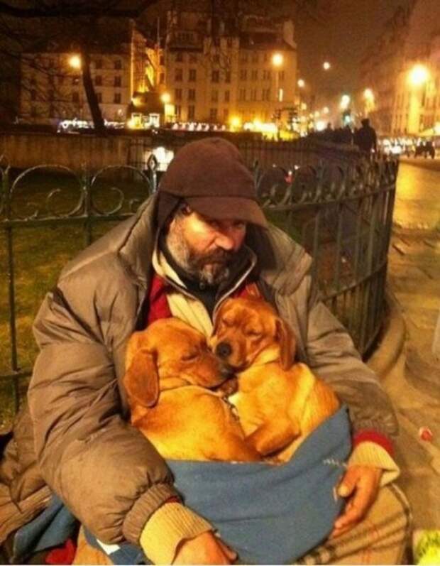 25 трогательных фотографий, на которые невозможно смотреть равнодушно