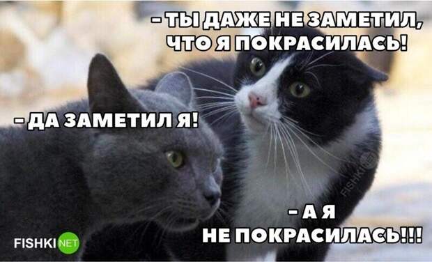 2. Классика жанра. Верно, мужчины?