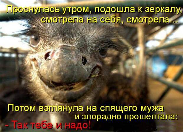 Кото матрица 7