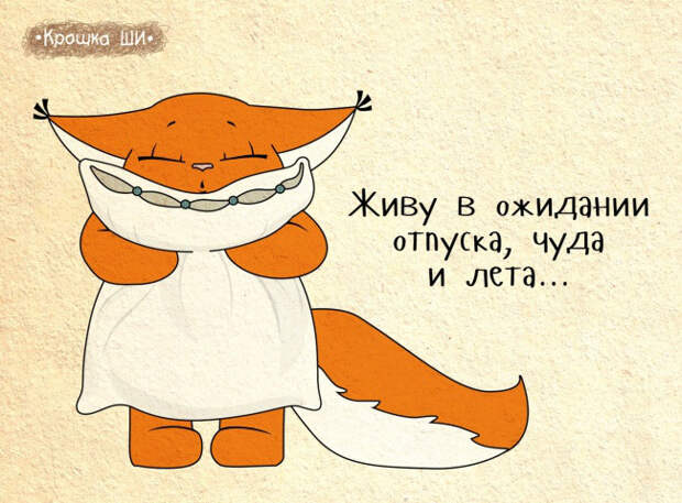 мир глазами белки, Крошка Ши 