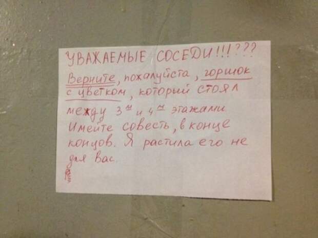 веселые записки от соседей 