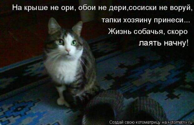 Мысли вслух :)