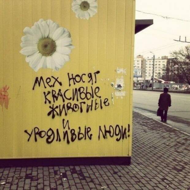 Смешные объявления, вывески и реклама (17 фото)