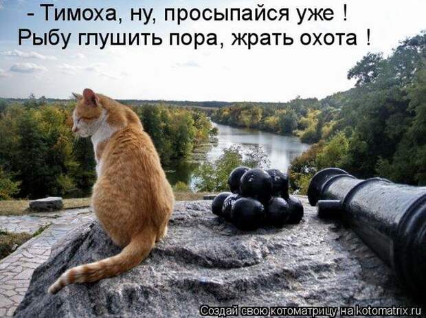 Мысли вслух :)