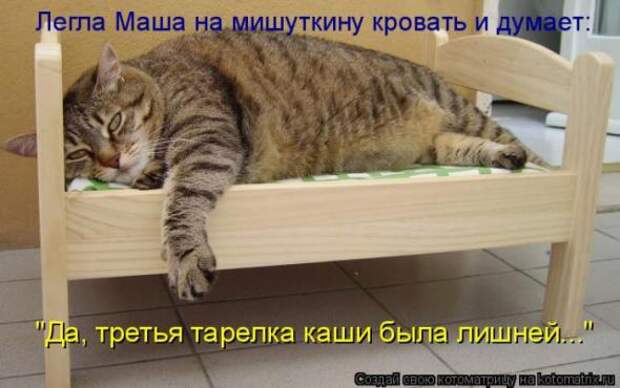 Котоматрицы (картинки с надписями)