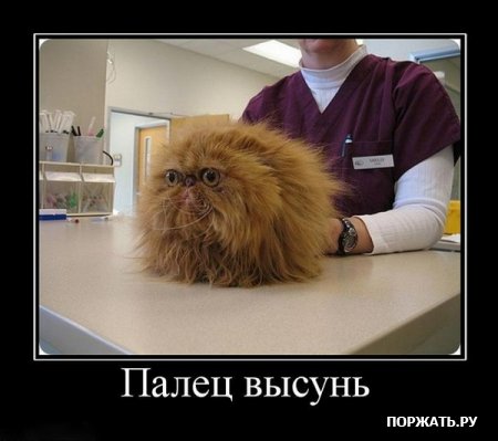Подборка демотиваторов и хорошего настроения!