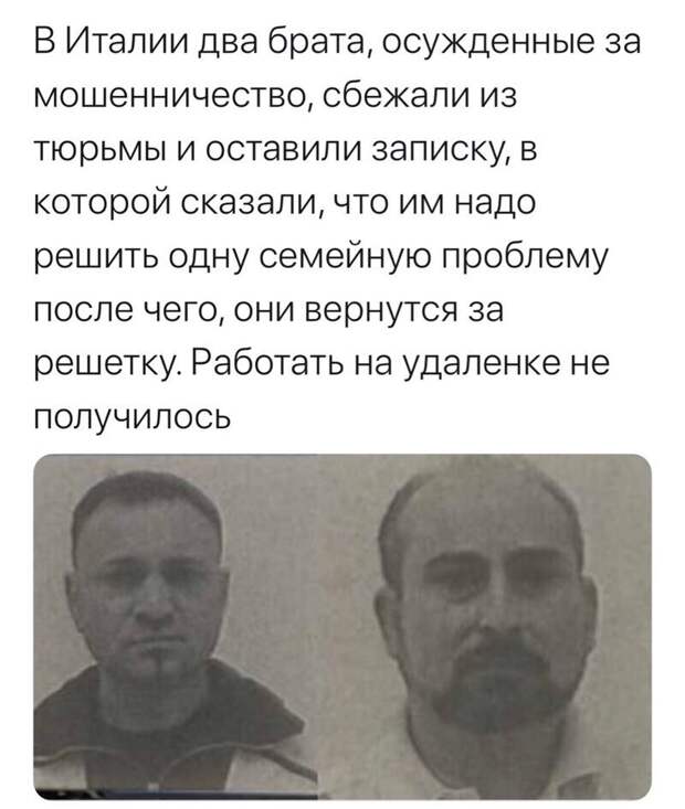 Политические комментарии из инета