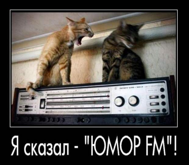 Демотиваторы
