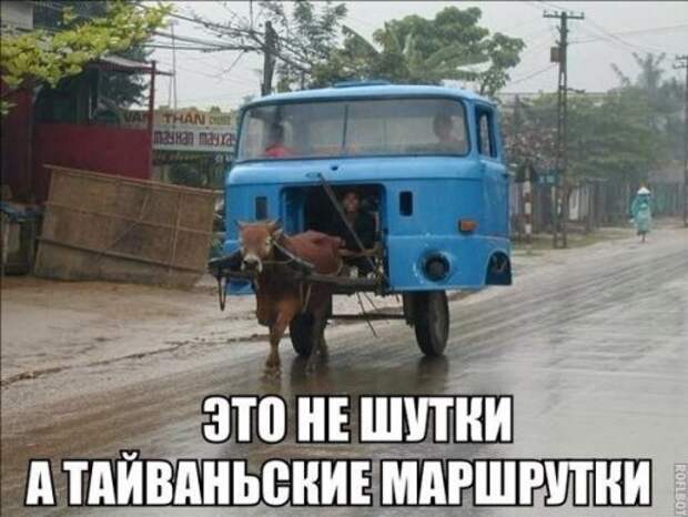 АВТОприкольные картинки (30 шт)