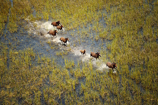 Конкурс фотографий National Geographic Traveler 2015. Часть 2