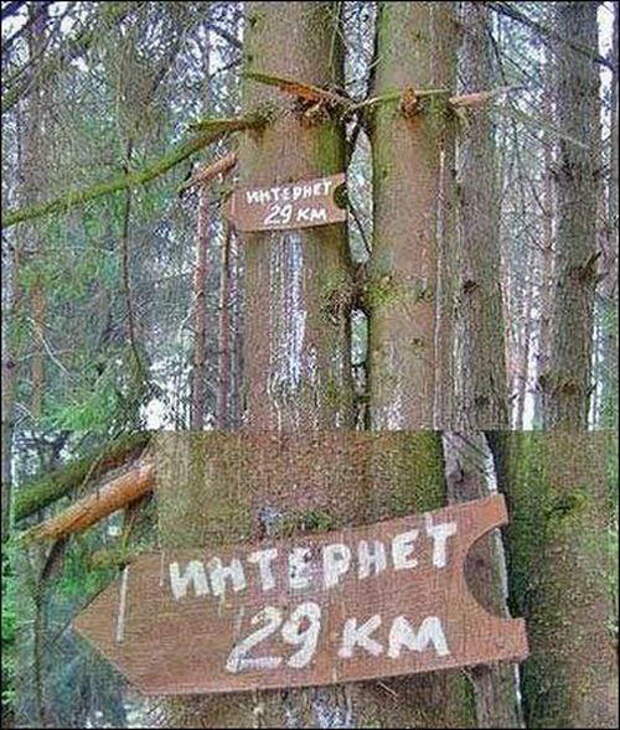 Смешные объявления, вывески, рекламки, ценники. часть 69 (27 фото)