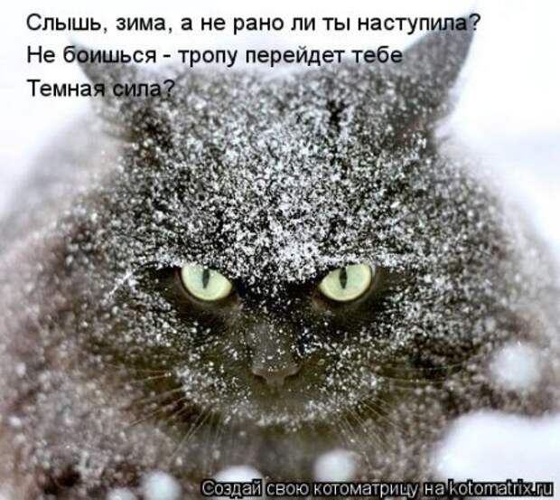 Подумала о своей жизни... сразу мухи налетели.