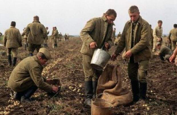 Еда в СССР Еда в СССР еда, ностальгия, ссср