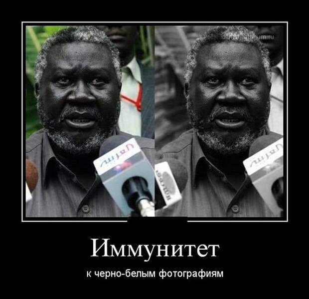 Демотиваторы для поднятия настроения. Не скучай! Демотиваторы для поднятия настроения. Не скучай!