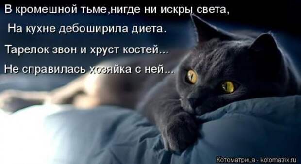 Котоматрицы(картинки с надписями)