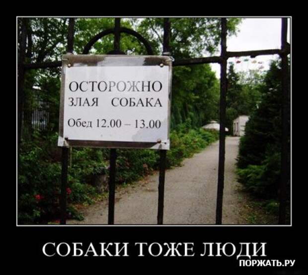 демотиваторы картинки