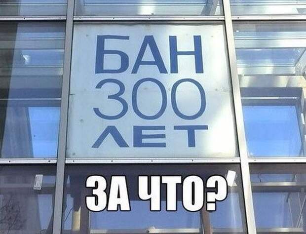 Картинки со смешными подписями картинки, прикол, юмор