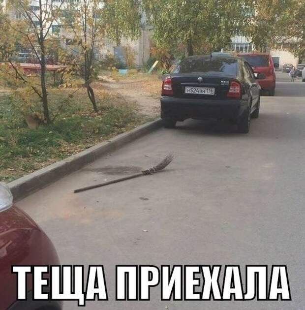 Смехопанорама. Кайф!