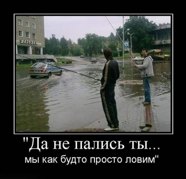 Демотиваторы
