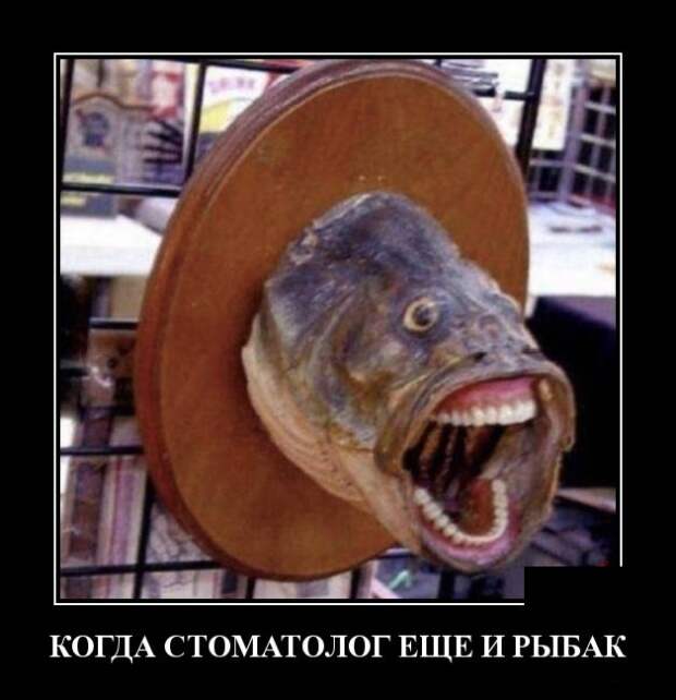 www.vsyako.net
