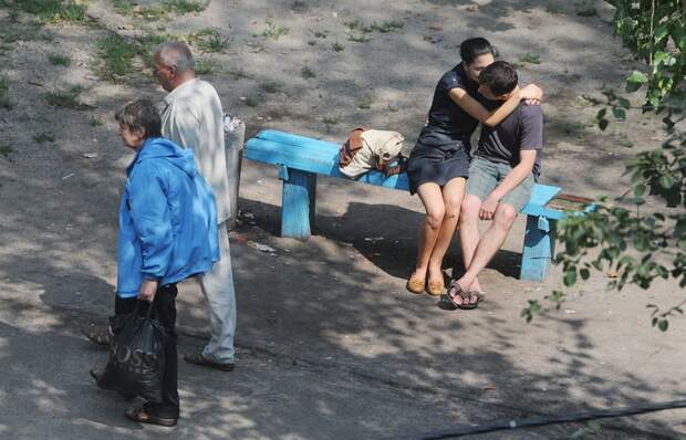 Жизнь на лавочке двор, лавочка, общество, фотопроекты