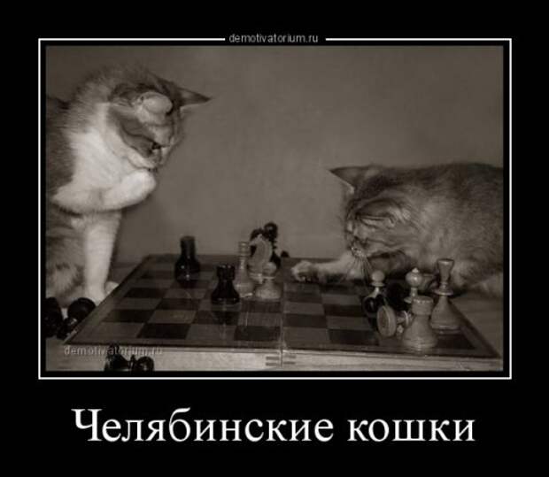 Демотиваторы для отличного настроения